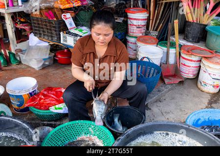 Straße des zentralen Marktes, Frau, die Fische verkauft, Phonsavan, Provinz Xiangkhouang, Laos, Südostasien, Asien Stockfoto