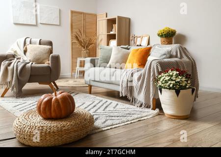 Inneneinrichtung des stilvollen Wohnzimmers mit grauem Sofa, Sessel und Kürbis auf Korbpouf Stockfoto