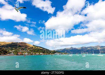 Akaroa ist eine kleine Stadt auf der Banks Peninsula in der Region Canterbury auf der Südinsel Neuseelands, die sich in einem gleichnamigen Hafen befindet. Die Stockfoto