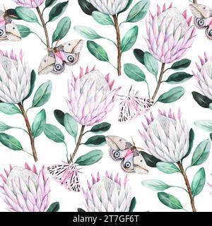 Nahtloses Muster mit rosa Protea Blumen, Aquarell handgezeichnete Illustration Stockfoto