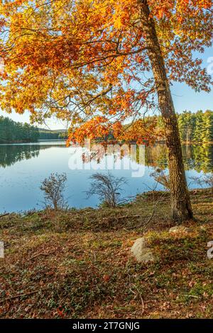 Quabbin Reservoir in New Salem, Massachusetts, Gate 31 Stockfoto