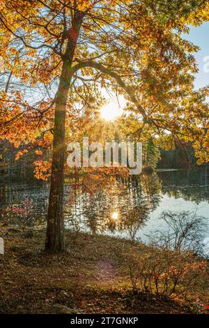 Quabbin Reservoir in New Salem, Massachusetts, Gate 31 Stockfoto