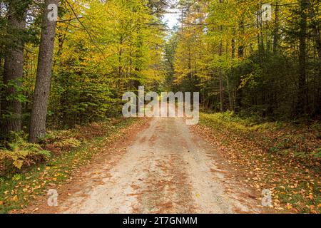 Quabbin Reservoir in New Salem, Massachusetts, Gate 29 Stockfoto