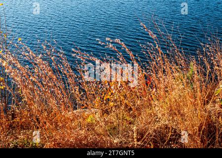 Quabbin Reservoir in New Salem, Massachusetts, Gate 35 Stockfoto