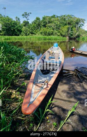 Transport mit dem Kanu im Amazonas-Regenwald, Cuyabeno Reserve in der Amazonasregion zwischen Ecuador und Peru Stockfoto