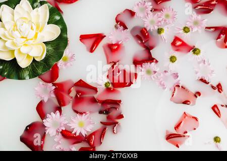 Hohe Aussicht auf Blumenblätter Lotus schwimmende Milch Stockfoto