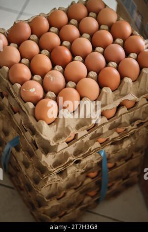 Eier in Papierschalen gestapelt mit blauen Plastikbändern auf dem Markt. Stockfoto