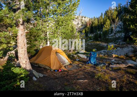 OR02748-00...OREGON - Campingplatz im Hinterland an der Elkhorn Creek Meadow im Abschnitt Eagle Cap Wilderness der Wallowa Mountains. Stockfoto