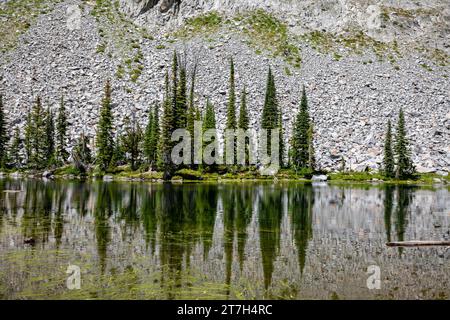 OR02769-00...OREGON - Bäume, die sich am Laverty Lake in der Eagle Cap Wilderness spiegeln, gehören zum Wallowa-Whitman National Forest. Stockfoto