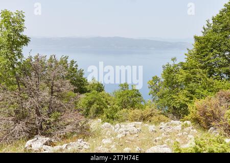 Wandern durch den Galicica-Nationalpark in Ohrid, Nordmazedonien Stockfoto