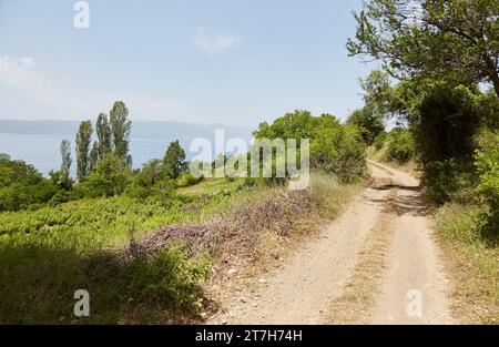 Wandern durch den Galicica-Nationalpark in Ohrid, Nordmazedonien Stockfoto