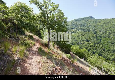 Wandern durch den Galicica-Nationalpark in Ohrid, Nordmazedonien Stockfoto