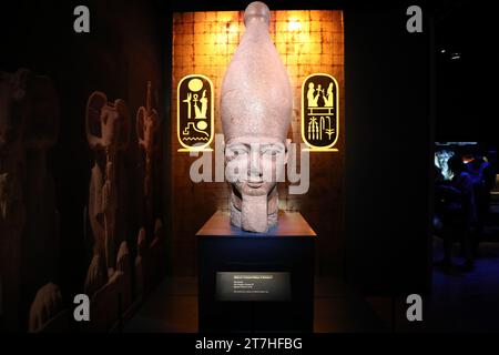 Sydney, Australien. November 2023. Medienvorschau der Ausstellung Ramses & das Gold der Pharaonen im Australian Museum, mit 182 unbezahlbaren Artefakten, einschließlich des Sarkophags von Ramses II. - Einem der seltensten und beeindruckendsten königlichen Särge aus dem alten Ägypten, die jemals entdeckt wurden. Australian Museum, Hintze Hall. 1 William Street, cnr College St, Sydney. Im Bild: Kopf einer kolossalen Statue von Ramses II Richard Milnes/Alamy Live News Stockfoto