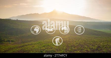 Tourismus und landwirtschaftliche Lernressourcen, Kautschukplantage, Flächenvorbereitung für Kautschukanbau, Panorama Stockfoto