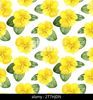 Nahtloses Aquarellmuster mit handgezeichneten Stiefmütterchenblüten und Knospen und Blättern, gelbe Frühlingsblüten, Sommerillustration, isoliert auf weißem Hintergrund Stockfoto