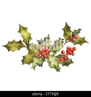 Aquarelle Poinsettia mit weihnachtlicher Blumendekoration. Handbemalte traditionelle Blumen und Pflanzen: holly, Mistelzweige, Beeren isoliert auf weißem Hintergrund Stockfoto
