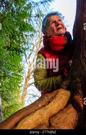 Verspielte Seniorin über 60, die am Herbsttag im Ai Hermitage Park, Helensburgh, Argyll und Bute, Schottland, in einer Baumbeuge stand Stockfoto