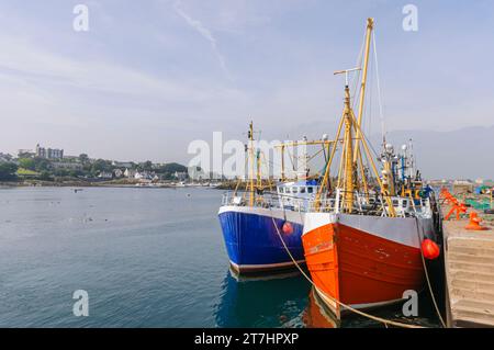 Trawler, die in einem Hafen in Ardglass, Nordirland, Vereinigtes Königreich, gefangen sind Stockfoto