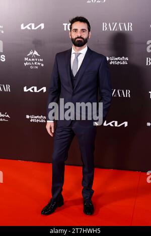 Madrid, Spanien. November 2023. Auf dem Photocall für Harper Bazaar: Frauen des Jahres 2023 in Madrid am Mittwoch, 15. November 2023. Quelle: CORDON PRESS/Alamy Live News Stockfoto