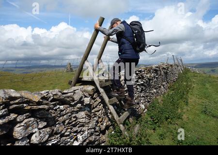 Ein älterer Mann klettert über die Dry Stone Wall zum Summit Cairn of Addlebrough in Wensleydale, Yorkshire Dales, England, Großbritannien. Stockfoto