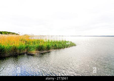 Blick auf den See Zalew Kamienski. Landschaft an der Lagune der Dziwna, die in die Ostsee mündet. Die Natur in der Woiwodschaft Polnisch Westpommern Stockfoto