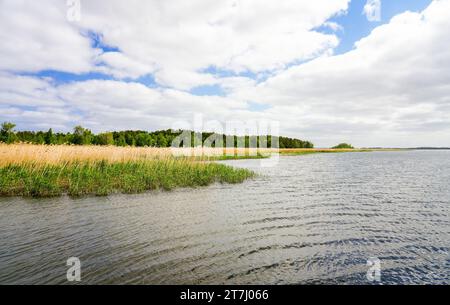 Blick auf den See Zalew Kamienski. Landschaft an der Lagune der Dziwna, die in die Ostsee mündet. Die Natur in der Woiwodschaft Polnisch Westpommern Stockfoto