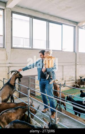 Dad mit einem kleinen Mädchen in den Armen, das eine Ziege streichelt, die auf ihren Hinterbeinen in der Nähe des Zauns des Fahrerdocks steht Stockfoto