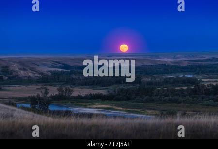 Der Aufgang des „Supermond“-Vollmondes am 1. August 2023 über dem Bow River und dem Tal, auf den Siksika Nation Lands, dem Herzen der Blackfoot Confede Stockfoto