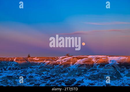 Der aufsteigende Vollmond vom 6. Januar 2023 über den Badlands des Horseshoe Canyon in der Nähe von Drumheller, Alberta. Hier spielt der Mond im rosafarbenen Gürtel von Venu Stockfoto