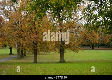 Lightwoods Park im Herbst, Bearwood, Birmingham, West Midlands, England, UK Stockfoto