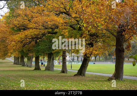 Lightwood Park im Herbst, Bearwood, Birmingham, West Midlands, England, UK Stockfoto