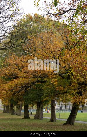 Lightwood Park im Herbst, Bearwood, Birmingham, West Midlands, England, UK Stockfoto