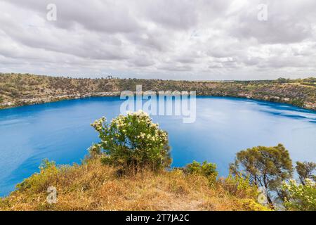 Der Blue Lake in Mount Gambier vom Blue Lake Lookout aus gesehen an einem Tag in South Australia Stockfoto