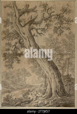 Jan Wijnants verwitterte den alten Baum. Schwarze Kreide, Pinsel in Grau und Braun, laviert, auf bräunlich getöntem Papier (auf zwei Etagen montiert); Handel einer vertikalen Falte, stellenweise zerbrochen; Brüche, Risse, Schmutz, Abrieb und fehlende Stellen. Stockfoto