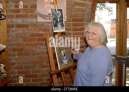 LEWISTON/IDAHO STATE/USA   Amerikanische Seniorinnen, die in der OCAL Gallery am 25. Mai 2011 Coures in Ölfarbe und Kunst machen (FOTO: FRANCIS JOSEPH DEAN/DEAN PICTURES) Stockfoto