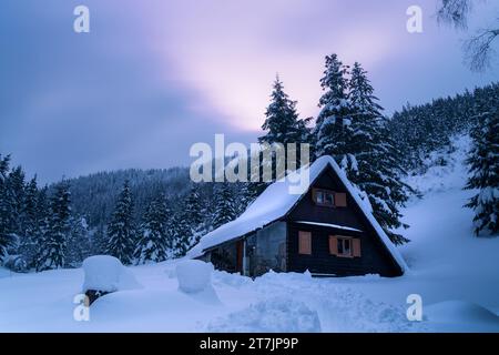 Eine schneebedeckte Hütte in einem bergigen, bewaldeten Gebiet. Hohe Kiefern und eine Schneedecke umgeben die Hütte. Stockfoto