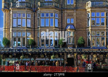 Betty's Teestuben mit Hunderten von roten gestrickten Mohnblumen, die an einem Zaun in der Nähe von Kundenwarteschlangen befestigt sind, in Harrogate, Yorkshire, Großbritannien. Stockfoto