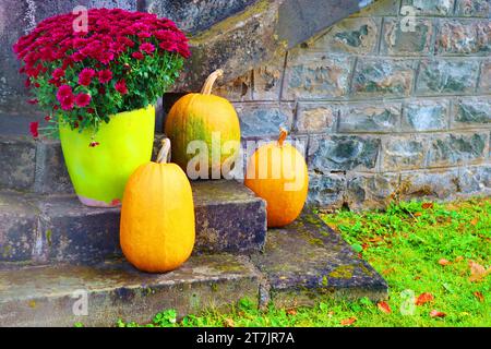 Bunte Blumen in Vase und Kürbisse im Schloss Cantacuzino, Rumänien. Halloween-Stimmung Stockfoto