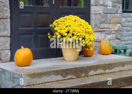 Bunte Blumen in Vase und Kürbisse im Schloss Cantacuzino, Rumänien. Halloween-Stimmung Stockfoto