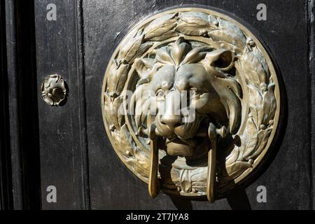 Nahaufnahme des Ornate Brass Lion Head Door Knocker, 2023, NYC, USA Stockfoto