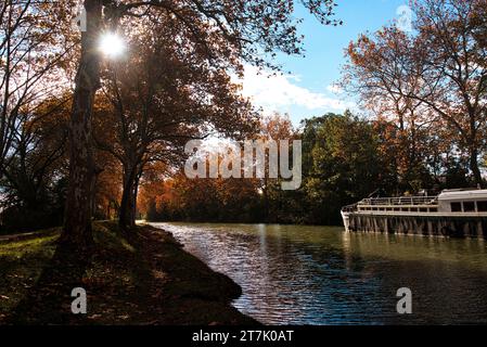 Die Ufer des Canal du Midi an einem sonnigen Herbstmorgen - les berges du Canal du midi par un matin d'automne ensoleillé pres de Castanet tolosan Stockfoto