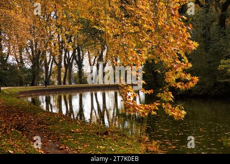 Die Ufer des Canal du Midi an einem sonnigen Herbstmorgen - les berges du Canal du midi par un matin d'automne ensoleillé pres de Castanet tolosan Stockfoto