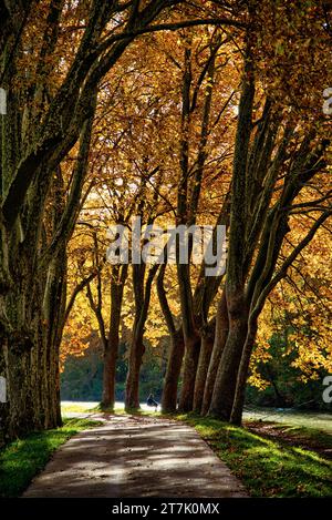 un pêcheur à la ligne sur les berges du Canal du Midi par un matin d'automne ein Angler am Ufer des Canal du Midi an einem sonnigen Herbst Stockfoto