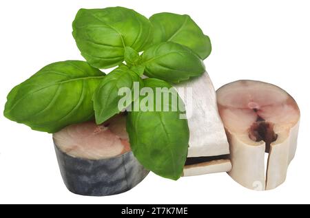 Atlantische Makrele mit frischen Basilikumblättern Stockfoto