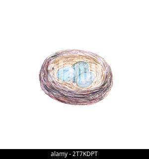 Handgemaltes Aquarellnest mit drei blauen Eiern isoliert auf weiß Stockfoto