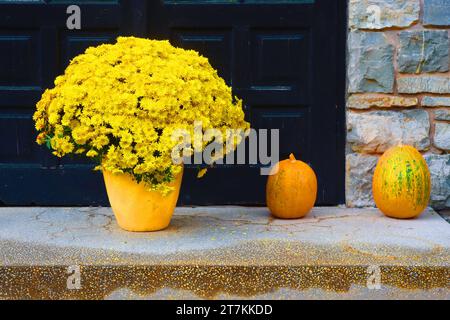 Bunte Blumen in Vase und Kürbisse im Schloss Cantacuzino, Rumänien. Halloween-Stimmung Stockfoto