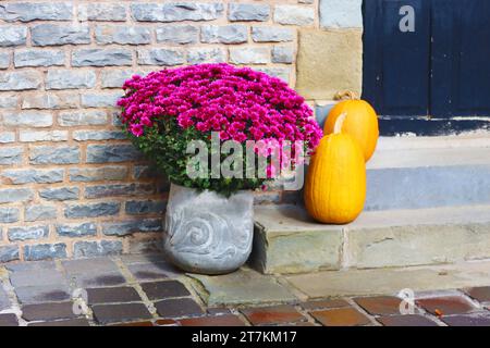 Bunte Blumen in Vase und Kürbisse im Schloss Cantacuzino, Rumänien. Halloween-Stimmung Stockfoto