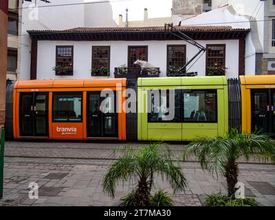 Farbenfrohe Straßenbahnen auf den Schienen von Santa Cruz de Teneriffa, Teneriffa, Kanarischen Inseln, Spanien, Tourismus, Wintersonne, Sightseeing Stockfoto