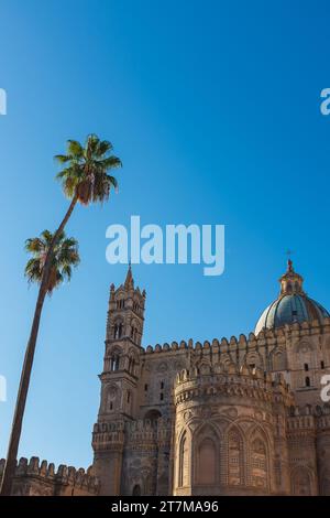 Palermo, Sizilien, 2016. Zwei Palmen in Richtung der Kathedrale von Palermo mit ihrer Kuppel und ihrem Kreuz vor einem hellblauen Winterhimmel Stockfoto