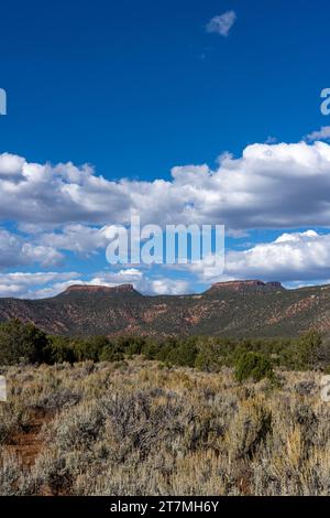 Cedar Mesa mit den Bears Ears Peaks im Bears Ears National Monument in Utah. Stockfoto